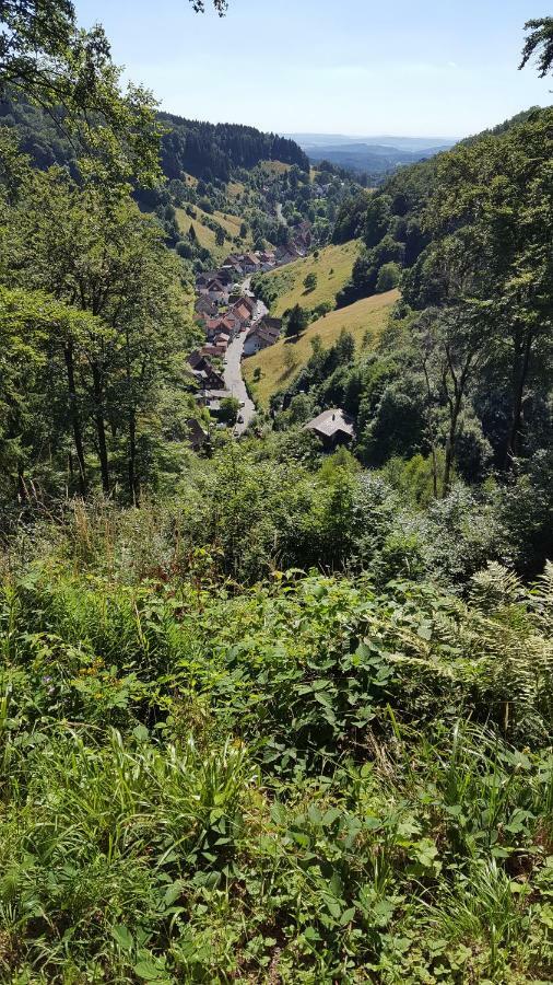 Fewo Bergblick Osterode am Harz Exterior photo
